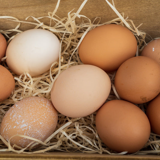 Weekly Chicken Egg Subscription - 2 Month Duration